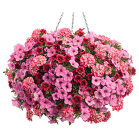 Hopscotch Hanging Basket