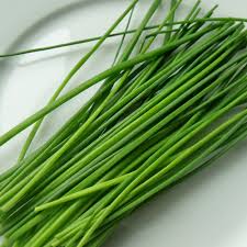 Chives onion