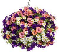 Radiant Rose Hanging Basket