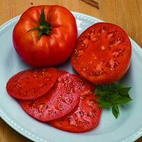 Tomato Beefsteak Organic
